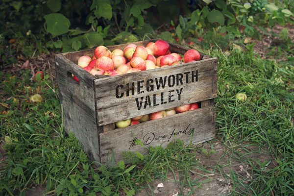 Chegworth Valley branded wooden apple crate filled with fresh English apples in orchard setting.